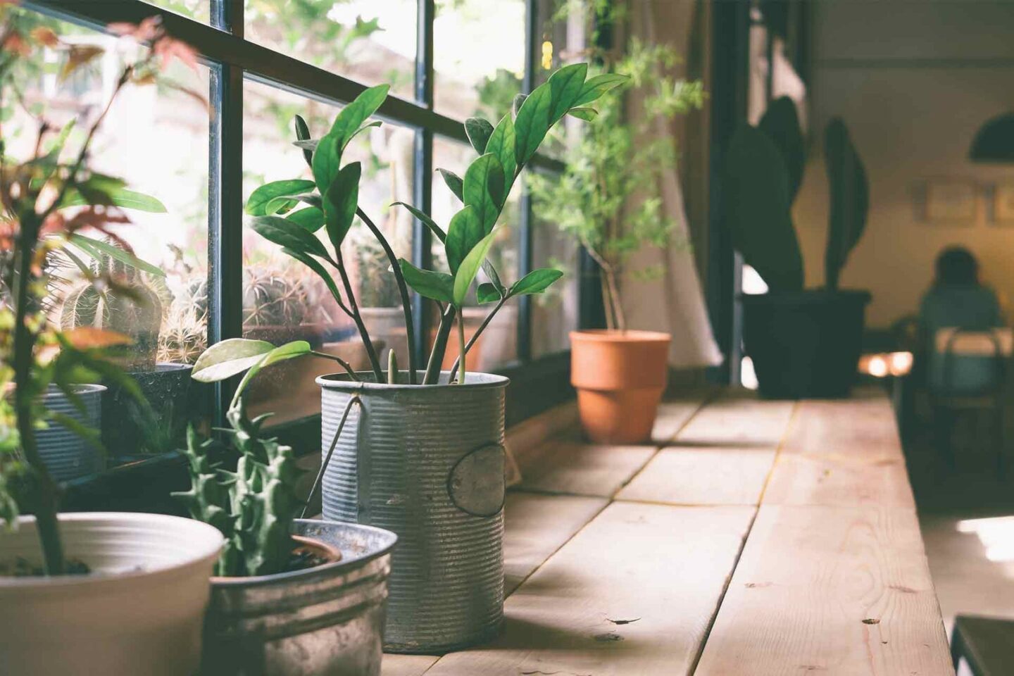 Celebrated am announcing delightful remarkably we