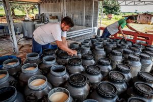 Uma das novas leis estabelece critérios para manipulação de produtos de origem animal, como o leite e derivados, e registro sanitário                             Crédito - Mayke Toscano/Secom-MT