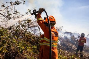 No local, os bombeiros atuam nas duas margens do Rio Paraguai.                             Crédito - Christiano Antonucci