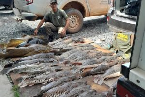 Intensificação da fiscalização é parte dos esforços contínuos da Sema para proteger a fauna aquática no período de reprodução dos peixes                             Crédito - Sema-MT