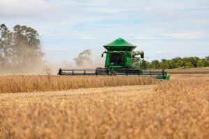 A produção de Mato Grosso é 1,16 vezes maior do que a soma das produções da Bolívia, Ucrânia, Rússia, Canadá e Paraguai juntos  - Foto por: Secom/MT