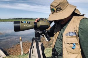 MT é conhecido como um dos principais hotspost que o observador de aves vai encontrar uma diversidade maior de espécies  - Foto por: Arquivo/Sedec