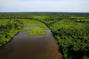 Um acordo de cooperação técnica será assinado estabelecendo as ações conjuntas, entre elas critérios para o uso do fogo no Pantanal                             Crédito - Marcos Vergueiro/Secom-MT