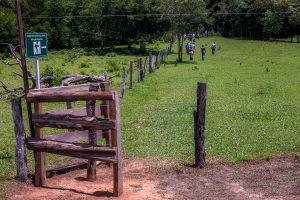 Turismo rural é uma alternativa de renda aos produtores familiares do Estado  - Foto por: Secom-MT