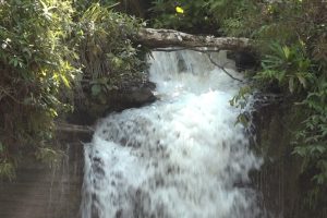 Região atrai pelas belezas naturais                             Crédito - Secom-MT