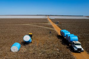 Desempenho positivo foi impulsionado principalmente pelo agronegócio, que continua sendo um pilar essencial para o estado - Foto por: Robson Almeida/Secom-MT