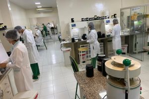 Os experimentos da extração de derivados de própolis realizadas em laboratório  - Foto por: Arquivo/Pesquisador