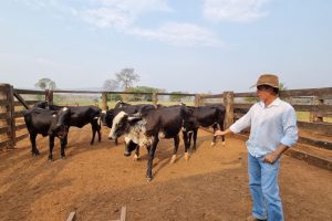 Produtor Ildo Vicente de Souza, de Pontes e Lacerda - Foto por: Rafaela Sanchez de Lima/Arquivo Pessoal