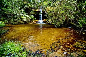 À esquerda uma nascente que sofreu dano ambiental, e à direita, uma nascente preservada  - Foto por: Arquivo