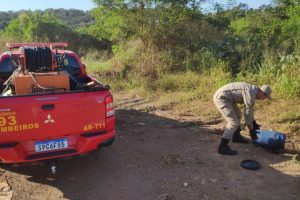 Bombeiro realizando a soltura da cobra que foi capturado no quintal de uma residência  - Foto por: CBMMT