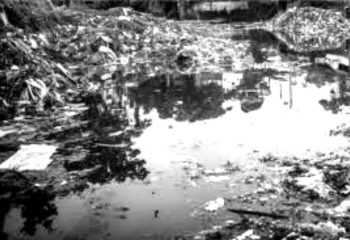 Beco da Lama: histórias e memórias de um símbolo cuiabano