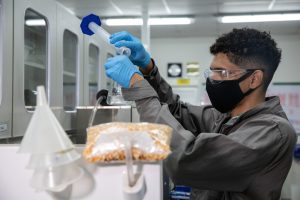 O valor real da proteína e aminoácidos presentes nos ingredientes para alimentação de suínos e aves é determinado por protocolos de digestibilidade ileal.  - Foto por: Mike Toscano/Secom-MT