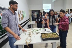 Apresentação de trabalho na ETEC de Sinop - Foto por: Ascom Seciteci