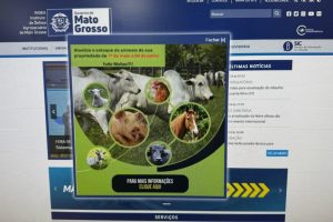 No site da autarquia, em Sanidade Animal, é possível encontrar outras informações sobre a campanha  - Foto por: Assessoria Indea