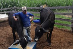 José Acélio dos Santos Rodrigues, de Terra Nova do Norte, afirma que o programa é uma boa oportunidade para os produtores, principalmente para quem não tem propriedades pequenas  - Foto por: Arquivo pessoal