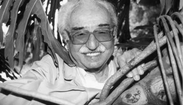 Manoel de Barros, poeta dos pássaros e da natureza